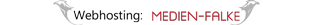 Medien-Falke